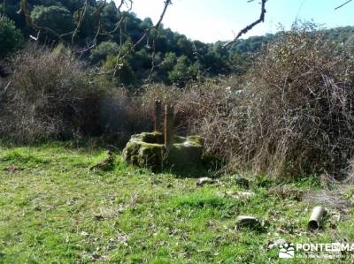 Río Manzanares - Puente Marmota; lagunas de peñalara; arbol tejo;escapadas madrid sierra